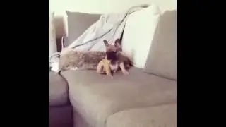 Вот это целеустремлённость