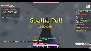 LEGENDARY SCATHA DROPPED ON HYPIXEL SKYBLOCK IRONMAN MODE