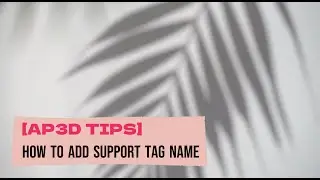 [AP3D-TIPS]_HOW TO ADD SUPPORT TAG NAME