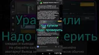 StageGold проверка бота на вывод голды