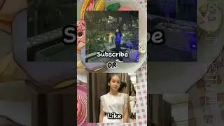 POV : Pilih Magic 5 / DJS ? 😻✨ | Aku sihh, Magic 5🤙🏻 #rakmal #magic5indosiar #djs #shorts