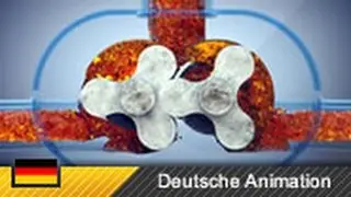 Roots-Gebläse / Roots-Kompressor / Roots-Lader (Animation)