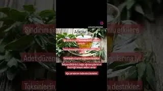 Adaçayının Faydaları
