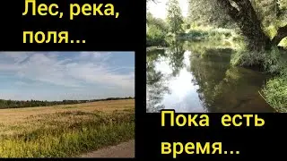 Лес, река, поля... Пока есть время.