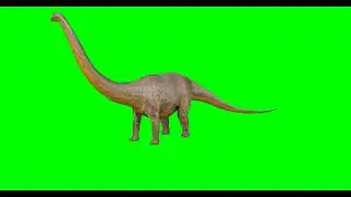 Dinosaur eating grass animated green screen video footage