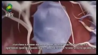 Диагностика опухолевых заболеваний в ТайДзи Шен