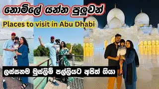 අපි තුන්දෙනා දවසින් ගියපු ට්‍රිප් එක.❤️🥹 |Abu Dhabi Travel vlog | Sinhala | Sri Lankan