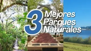 Tres mejores parques naturales de Titusville Florida