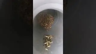 Кормушка 👍