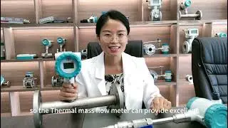 Thermal Mass Flow Meter Advantages.#flowmeter #meters #flowmeasurement #massflowmeter #factory