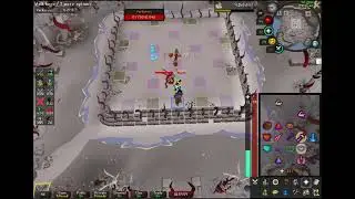 Vardorvis World Record 29.40 !!! - OSRS WR