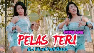 Pelas Teri - Shinta Gisul - Dj Full Bass (Official Music Video)