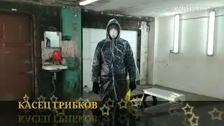Как избавиться от грибка или плесени. Сергун Морозович.