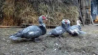 VID 20211001 171830