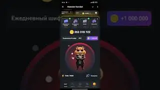 ежедневный шифр для хомяка 24.07.2024 AUDIT (hamster kombat)
