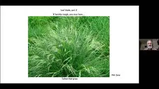 Key Features of Grasses Useful for Identification