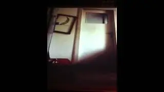 Life is porno
