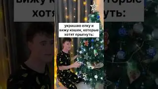 НОВОГОДНЯЯ ИСТОРИЯ ПРО ДВУХ КОТОВ 
