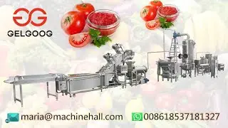 How To Make Tomato Paste ?|Gelgoog Tomato Paste Making Machine line