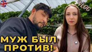 Жизнь в Англии: клубничная ферма, куда муж ехать не хотел