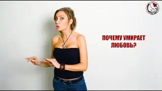 Почему умирает любовь?