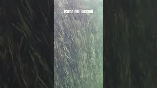 Parco dei Tassodi lago d’Iseo