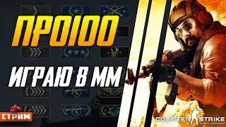 Пару коток в ММ Counter-Strike: Global Offensive 🔫СТРИМ 🔫