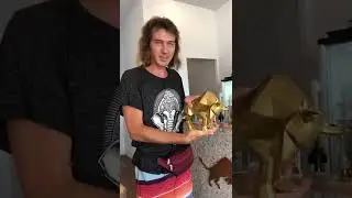 Быки - Мост Дружбы, Бали - Краснодар.