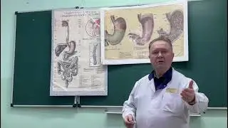 Видеолекция 