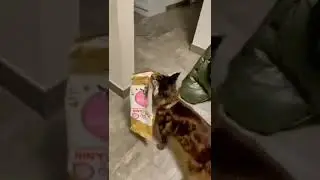 Самообслуживание