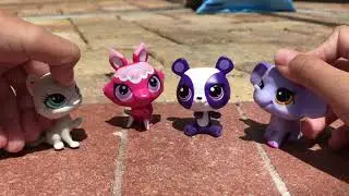 Lps at the Pool