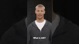 Artificial Narrow Intelligence