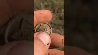 Пуговка #metaldetecting #коп #древняя #metaldetector #поиск #поискмонет #история #meta