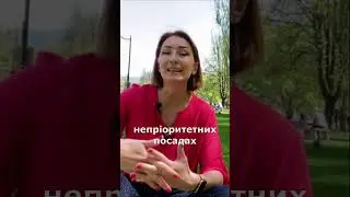 Оновлення по RNIP Vernon BC  