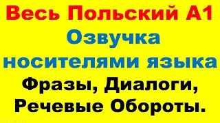 Весь Курс А1 в одном видео (все 33 урока). Слуховая тренировка. Только на польском.