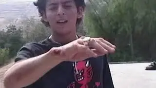 sk8 vid
