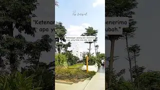 Ketenangan Datang #shorts #shortvideo #motivasi #quotes #katakatabijak #motivasidiri #quote #sukses