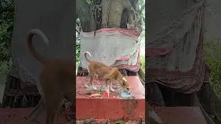 জীবিতেই ঈশ্বরের বিরাজ