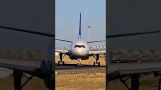 O Gigante A330neo ✈️ #airport #lisboa #shorts