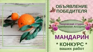 ▶Победитель конкурса "Новогодний мандарин"