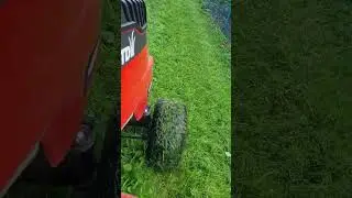 Bestes Wetter für den Rasen 