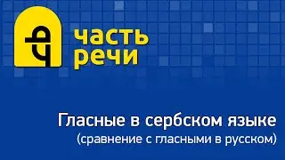 Фонетика, лекция 5. Школа сербского языка 