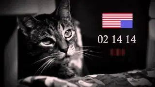 House of Cats