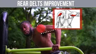 HOW TO TELL IF YOU HAVE UNDERDEVELOPED REAR DELTS- BEST EXERCISES FOR BUILDING REAR DELTS