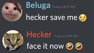When Beluga's Date Turns into Hell...