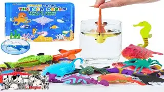 Color Changing Mold Free Bath Toys for Toddlers Kids Color Change Sea Review