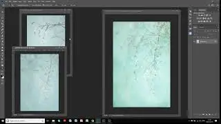 Creating the Winter Blossom Images