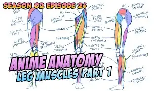 How to Draw Anime | Leg Muscles Part 1
