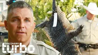 Texas Game Warden Arrests Poacher Guilty Of Killing Alligators | Lone Star Law