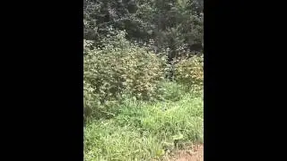 Гуляем часть 2